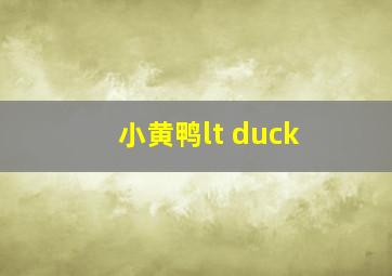 小黄鸭lt duck